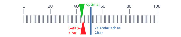 Skala Gefäßalter