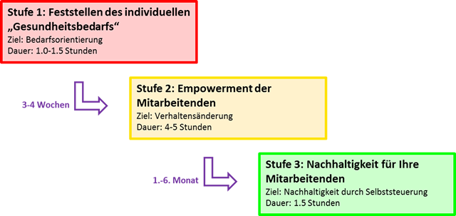 Betriebliche Gesundheitsförderung - Flussdiagramm